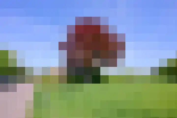 Binnenweg 43 Voorst thumbnail 45