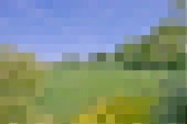 Binnenweg 43 Voorst thumbnail 5