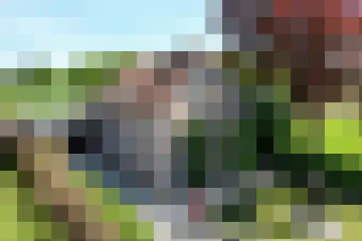 Binnenweg 43 Voorst thumbnail 6