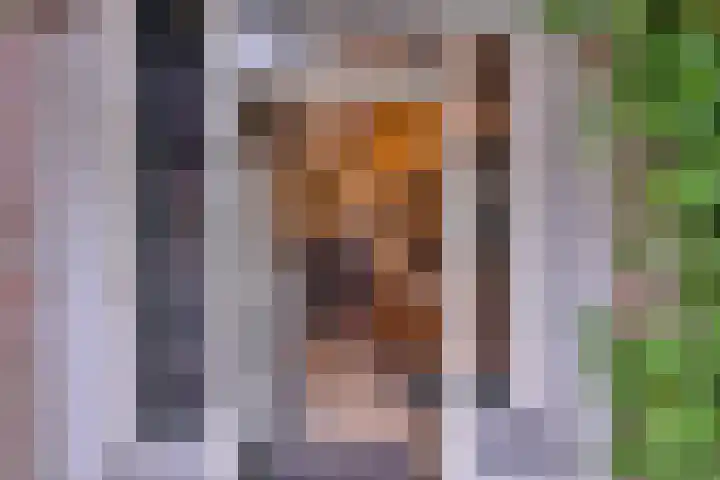 Binnenweg 43 Voorst thumbnail 8