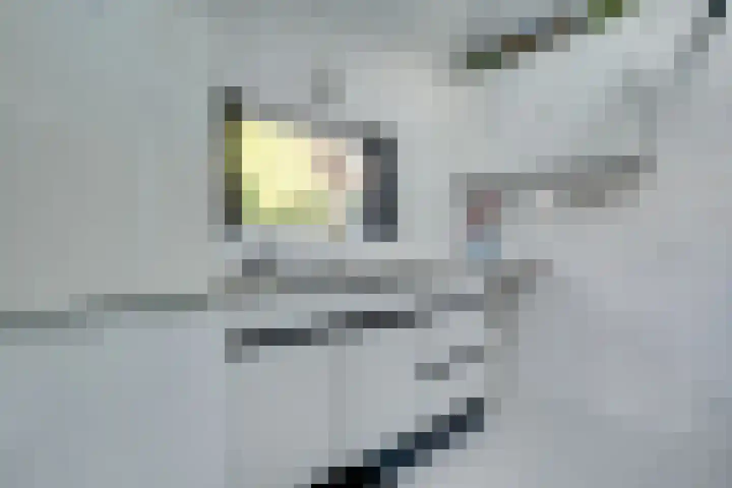 Binnenweg 47 Maarssen thumbnail 15