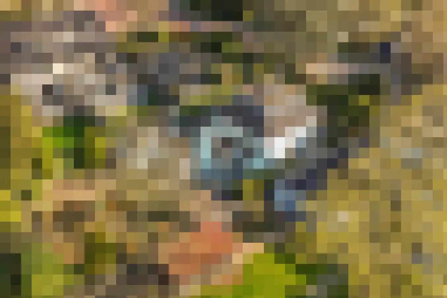 Binnenweg 47 Maarssen thumbnail 27