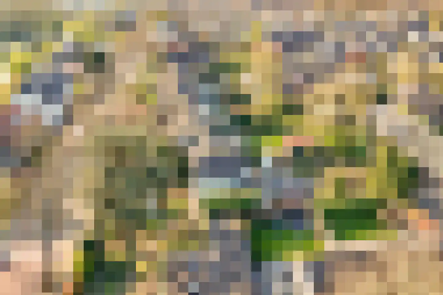 Binnenweg 47 Maarssen thumbnail 28