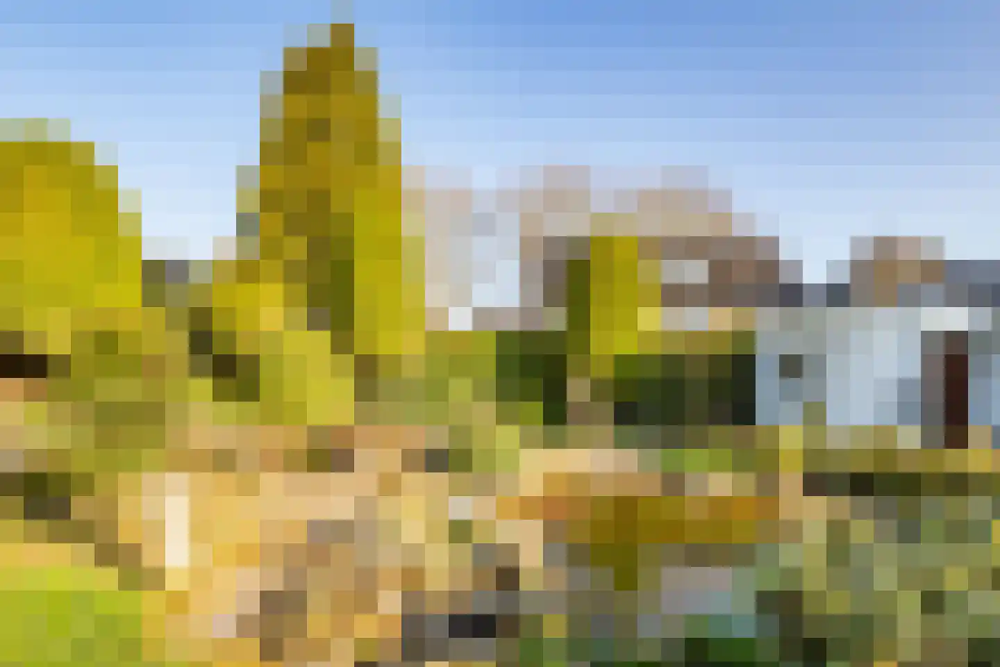 Binnenweg 47 Maarssen thumbnail 31