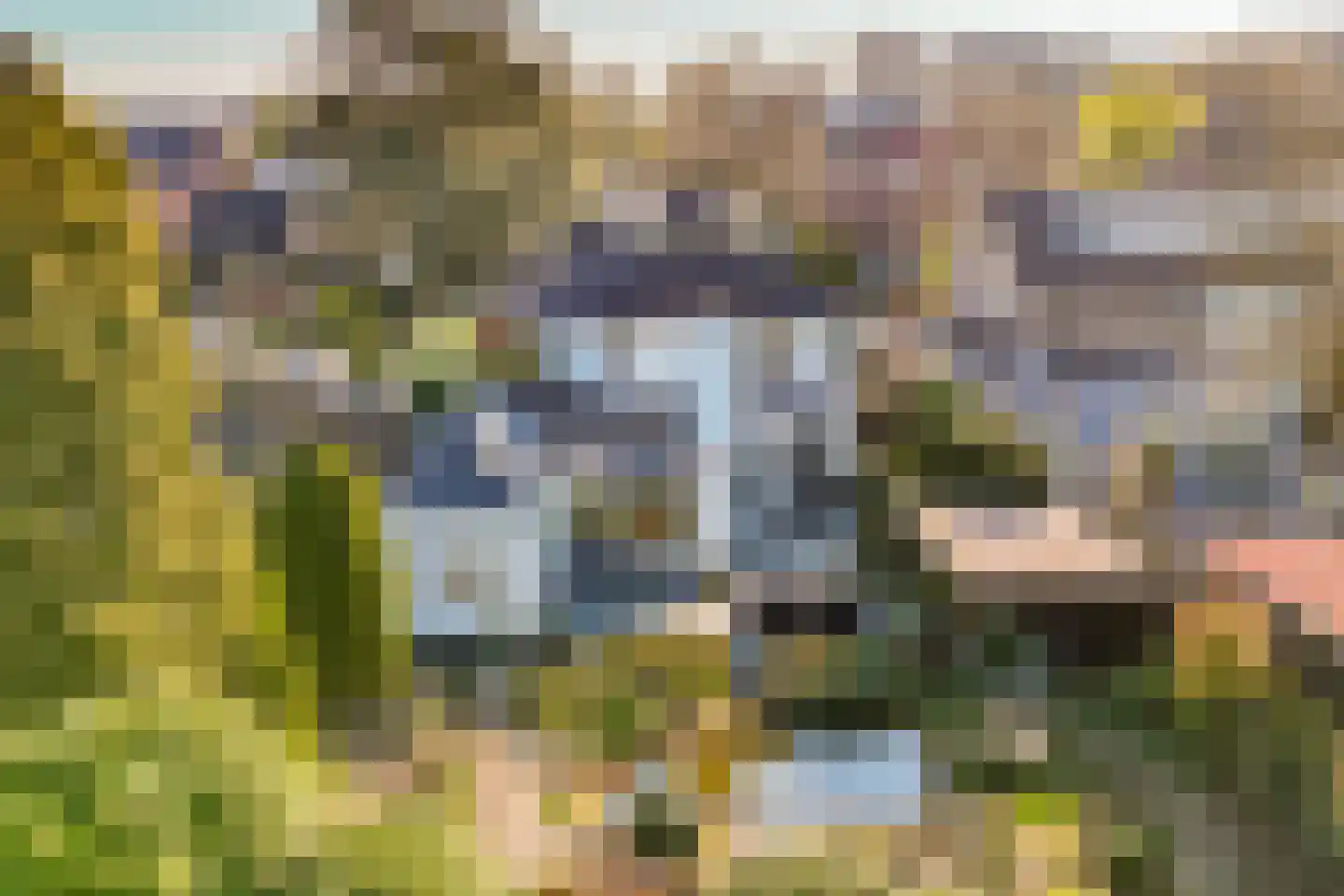 Binnenweg 47 Maarssen thumbnail 4