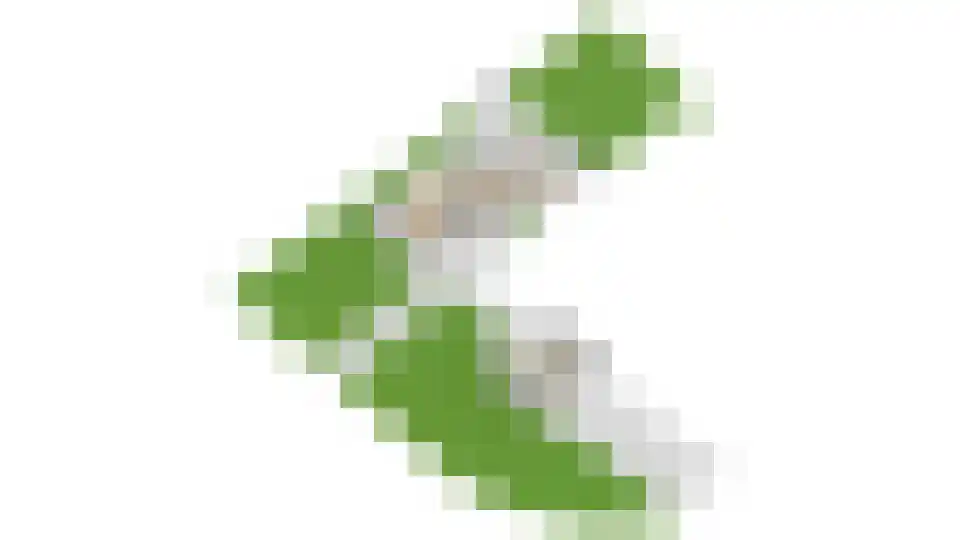 Binnenweg 47 Maarssen thumbnail 42