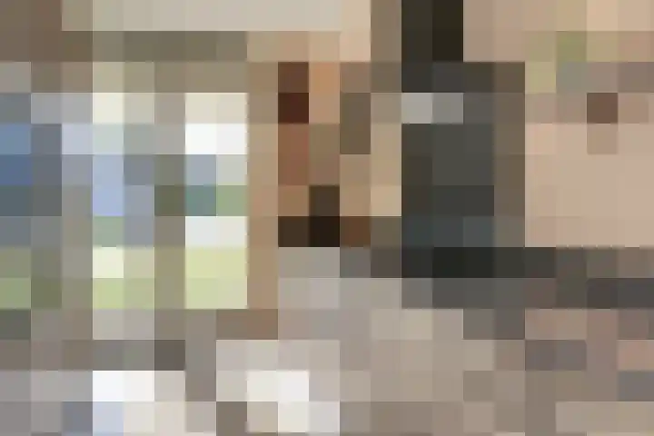 Binnenweg 49 c Ellecom thumbnail 12
