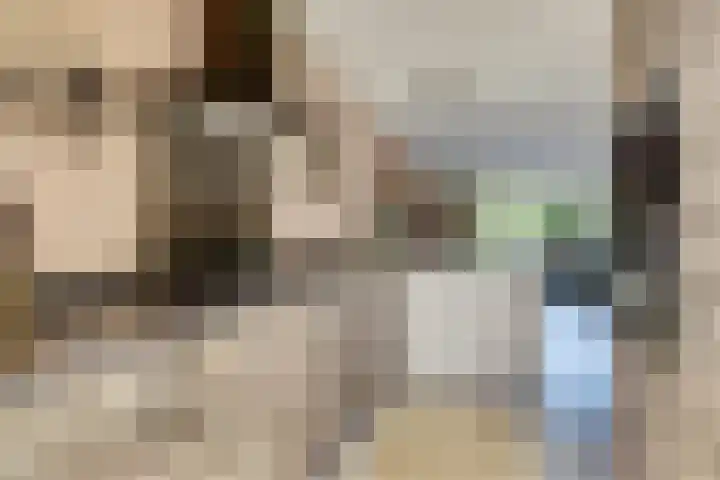 Binnenweg 49 c Ellecom thumbnail 13
