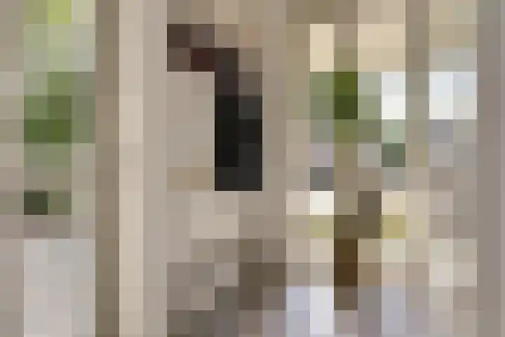 Binnenweg 49 c Ellecom thumbnail 14