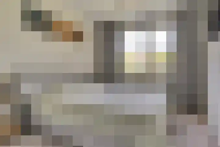Binnenweg 49 c Ellecom thumbnail 16