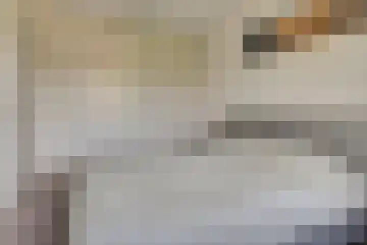 Binnenweg 49 c Ellecom thumbnail 17