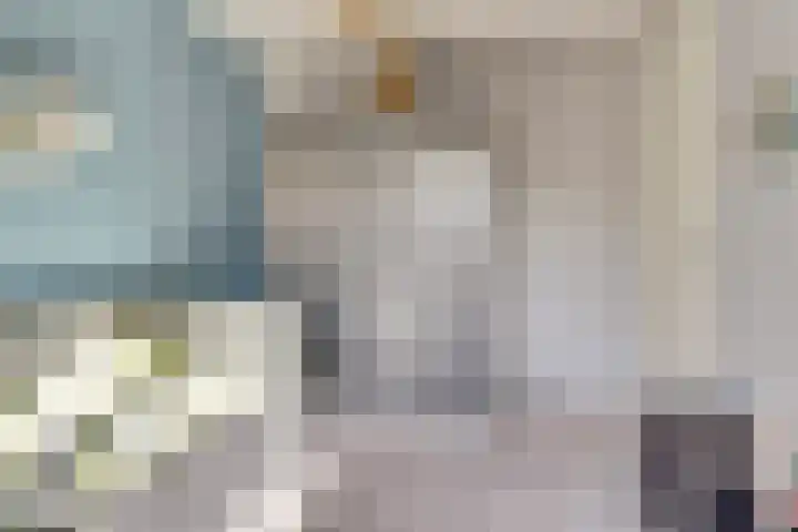 Binnenweg 49 c Ellecom thumbnail 20