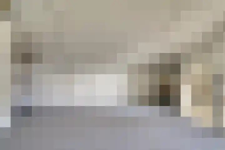 Binnenweg 49 c Ellecom thumbnail 23