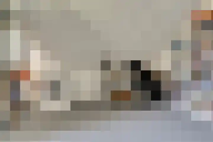 Binnenweg 49 c Ellecom thumbnail 25