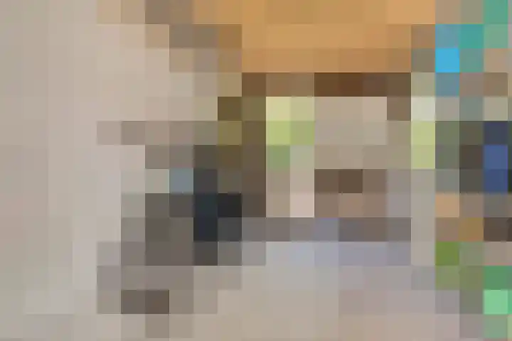 Binnenweg 49 c Ellecom thumbnail 26
