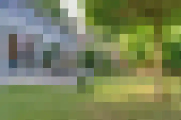 Binnenweg 49 c Ellecom thumbnail 27