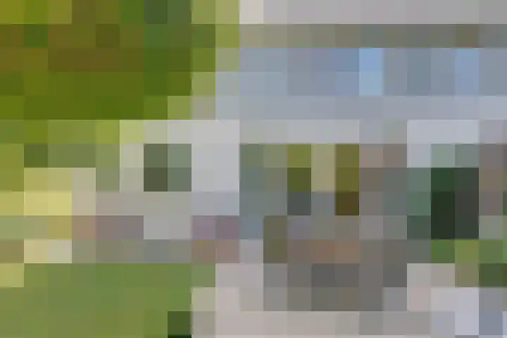 Binnenweg 49 c Ellecom thumbnail 28