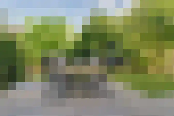 Binnenweg 49 c Ellecom thumbnail 29