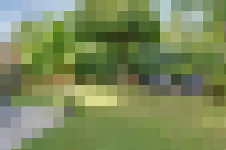 Binnenweg 49 c Ellecom thumbnail 31