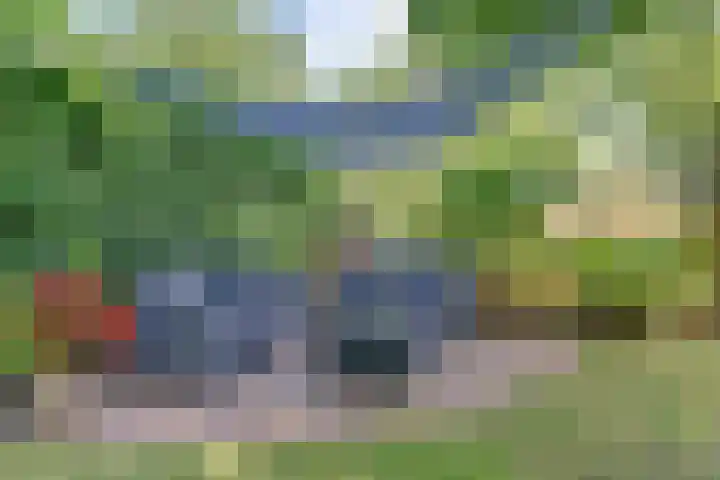Binnenweg 49 c Ellecom thumbnail 32