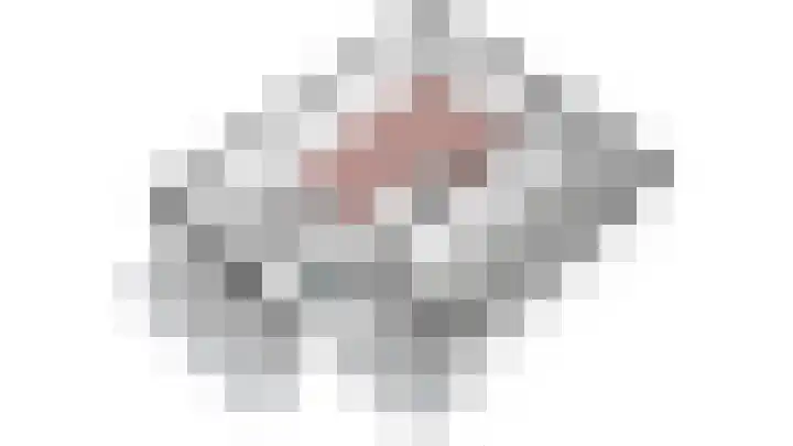 Binnenweg 49 c Ellecom thumbnail 35