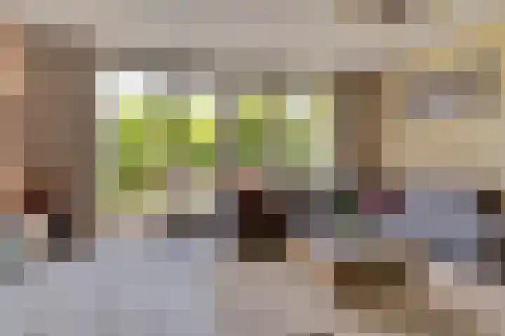 Binnenweg 49 c Ellecom thumbnail 4