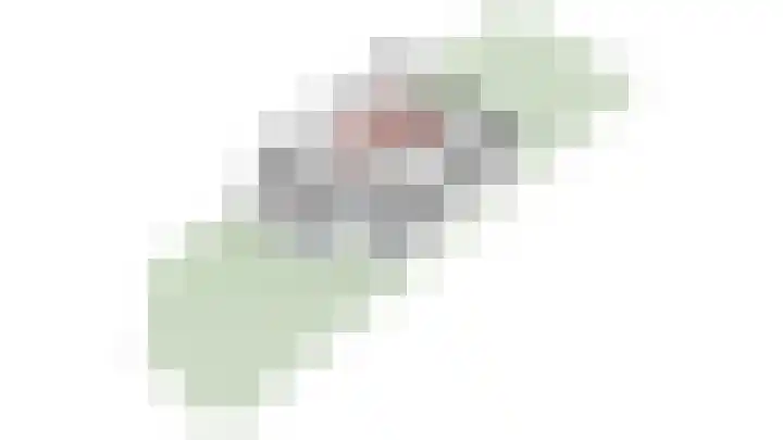 Binnenweg 49 c Ellecom thumbnail 41