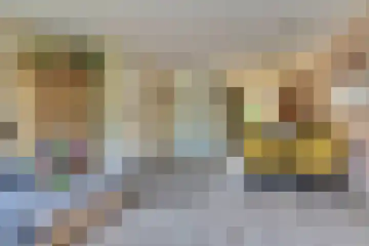 Binnenweg 49 c Ellecom thumbnail 7