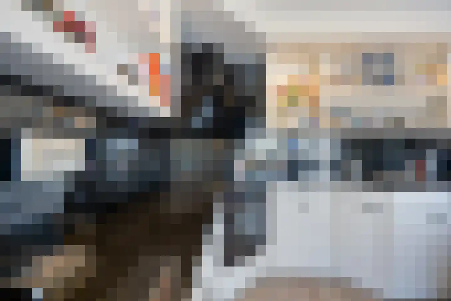 Binnenweg 5 a Ewijk thumbnail 25