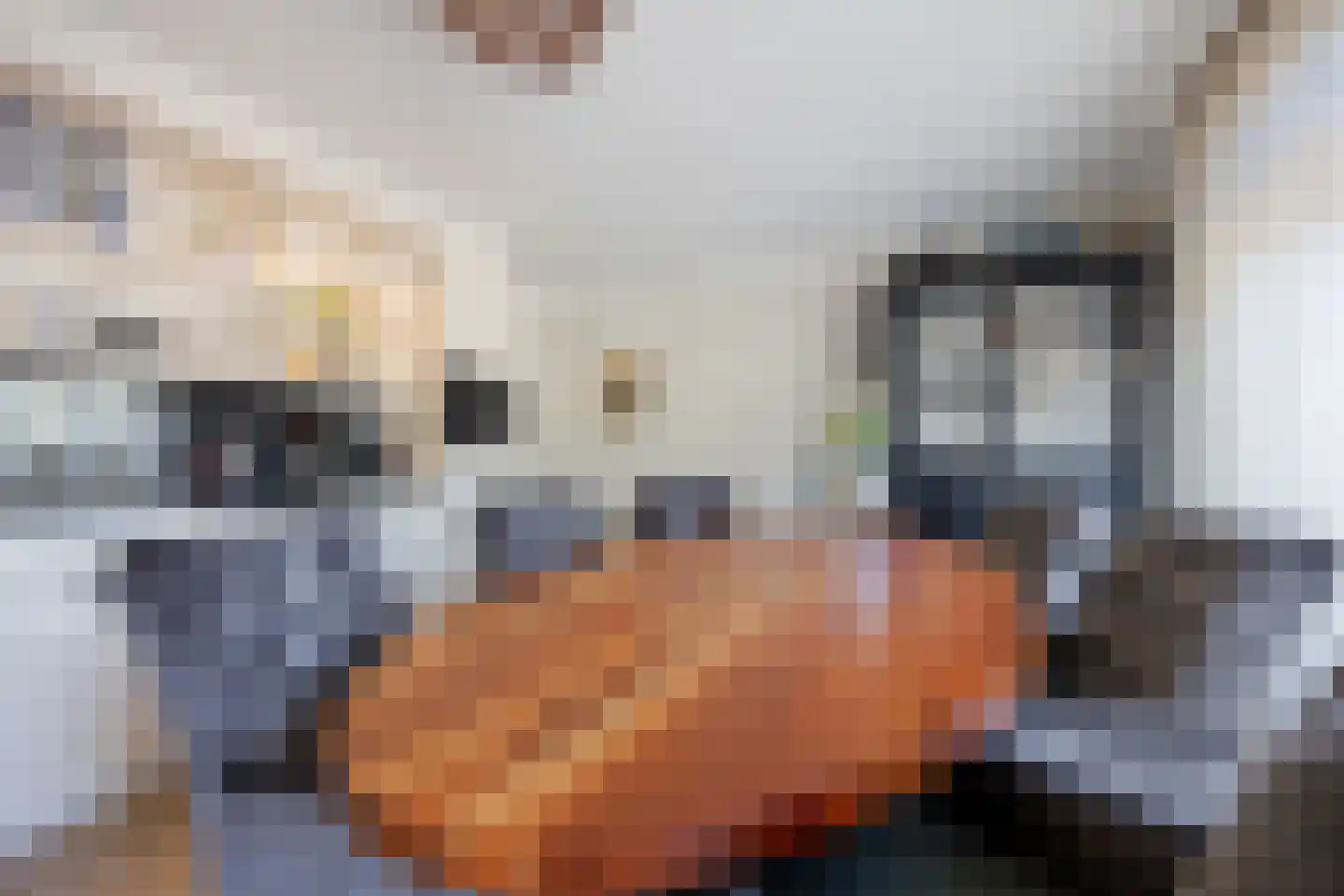 Binnenweg 5 a Ewijk thumbnail 27