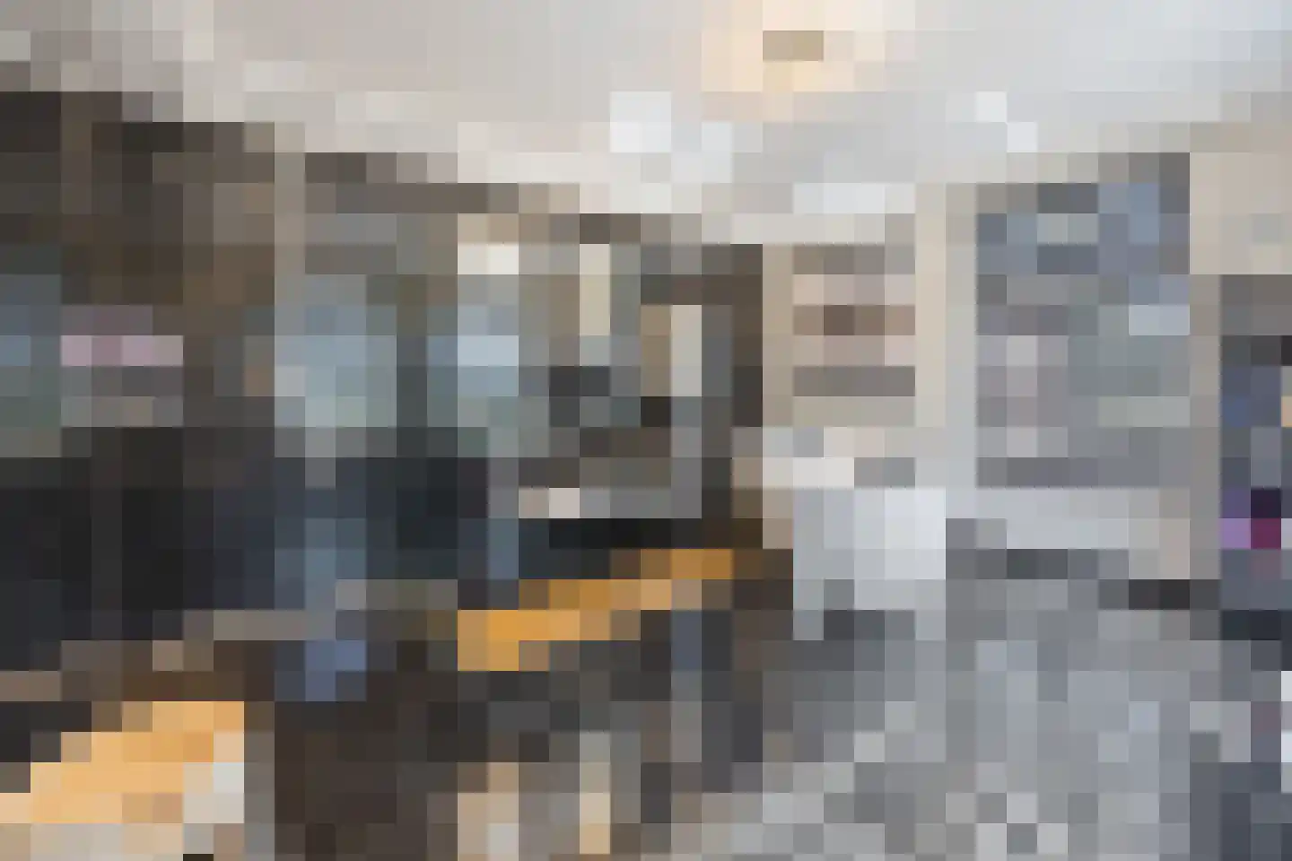 Binnenweg 5 a Ewijk thumbnail 41