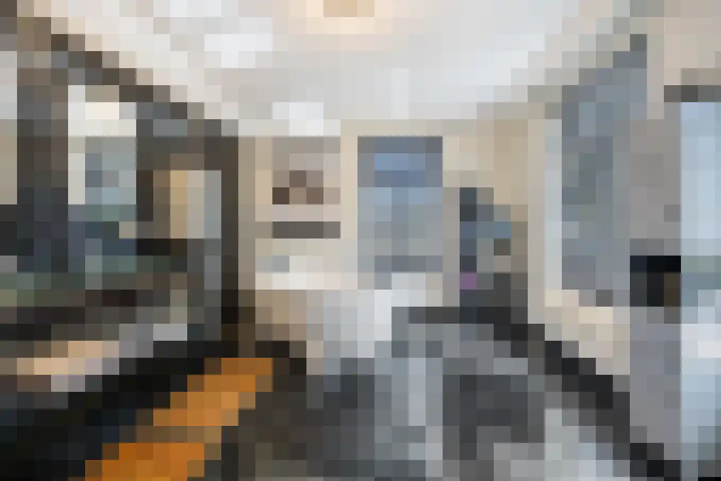 Binnenweg 5 a Ewijk thumbnail 42