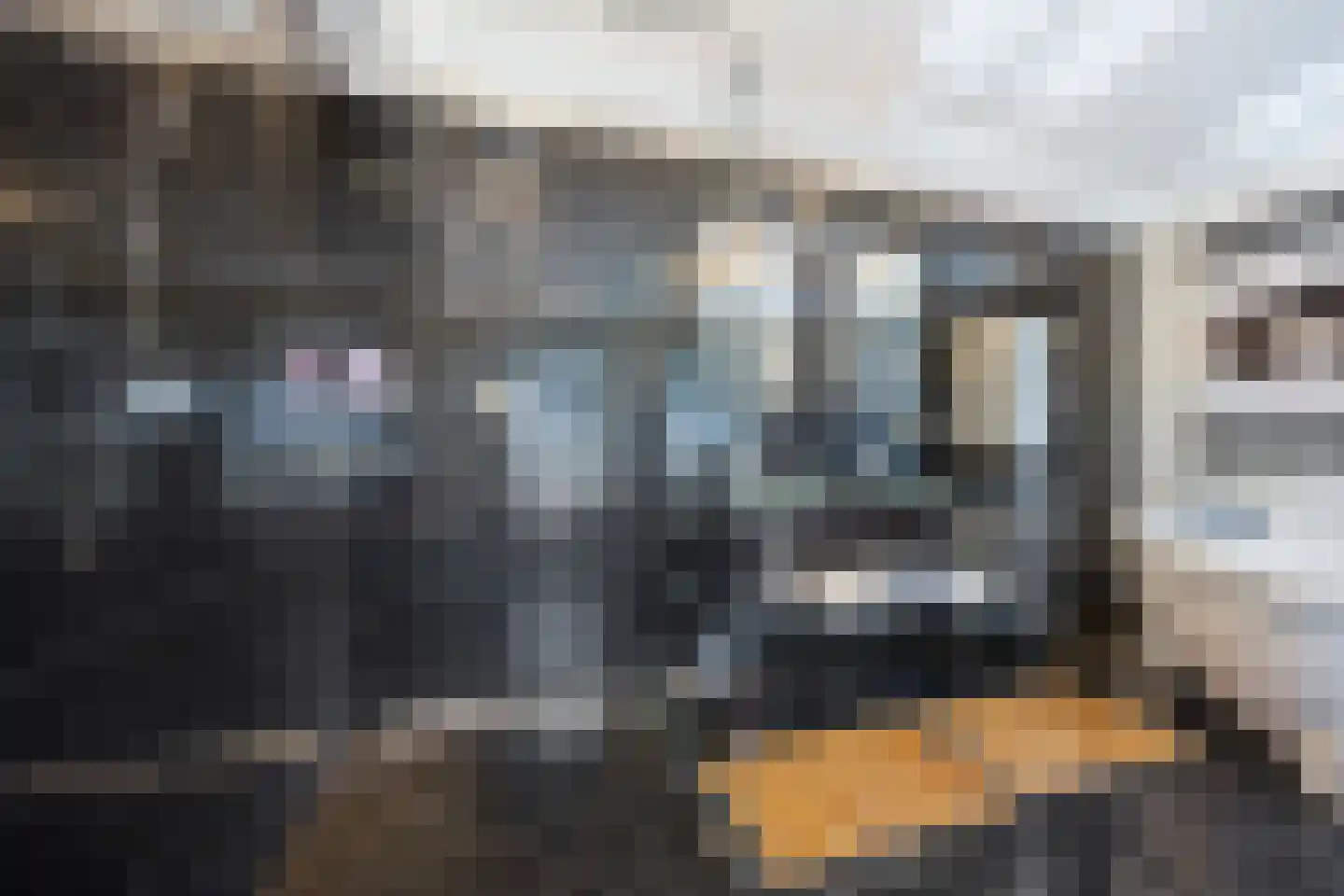 Binnenweg 5 a Ewijk thumbnail 45