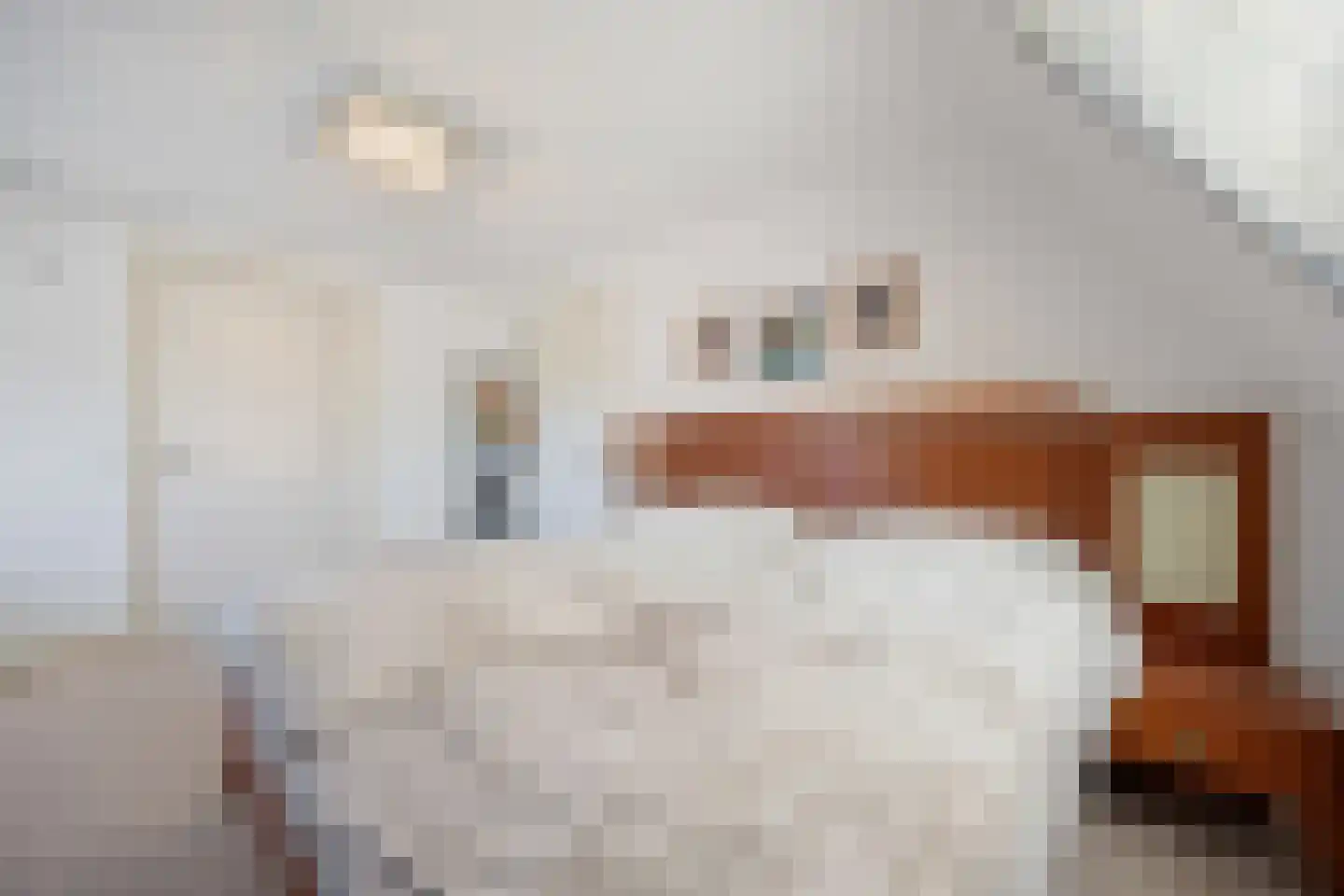 Binnenweg 5 a Ewijk thumbnail 53