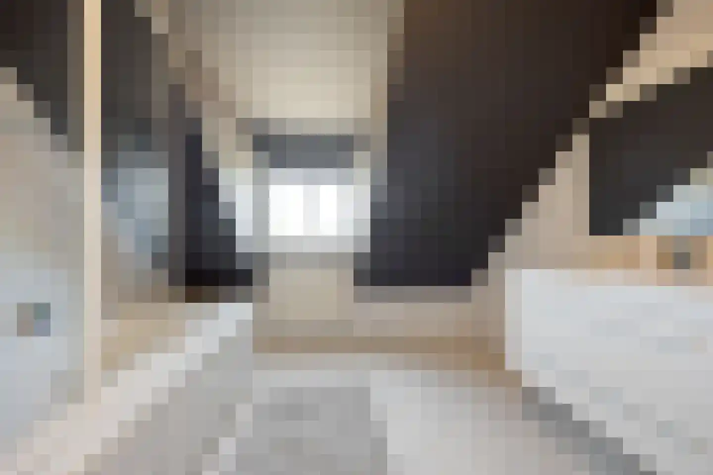 Binnenweg 5 a Ewijk thumbnail 54