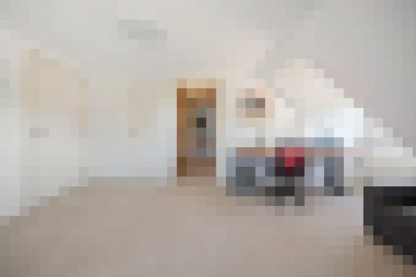 Binnenweg 5 a Ewijk thumbnail 62