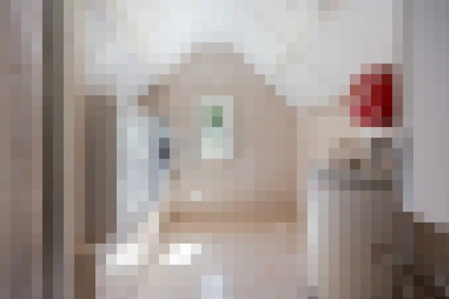 Binnenweg 5 a Ewijk thumbnail 63