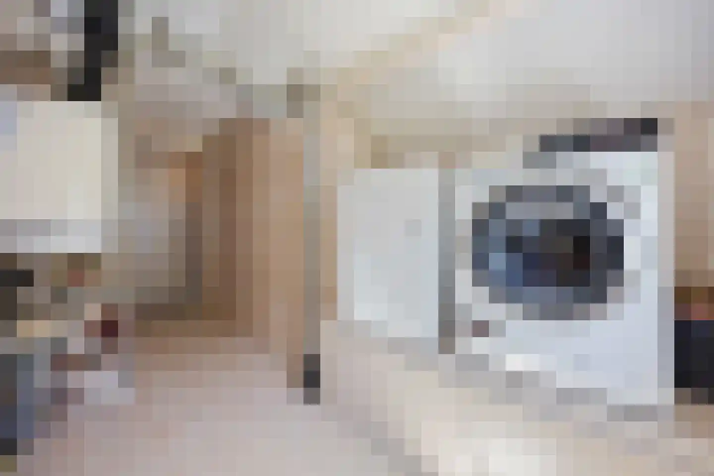Binnenweg 5 a Ewijk thumbnail 64