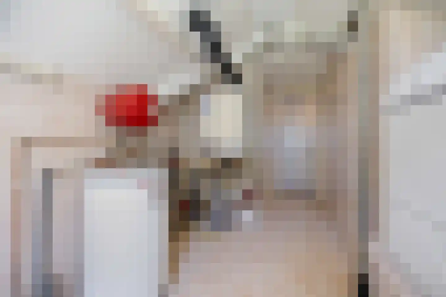 Binnenweg 5 a Ewijk thumbnail 65