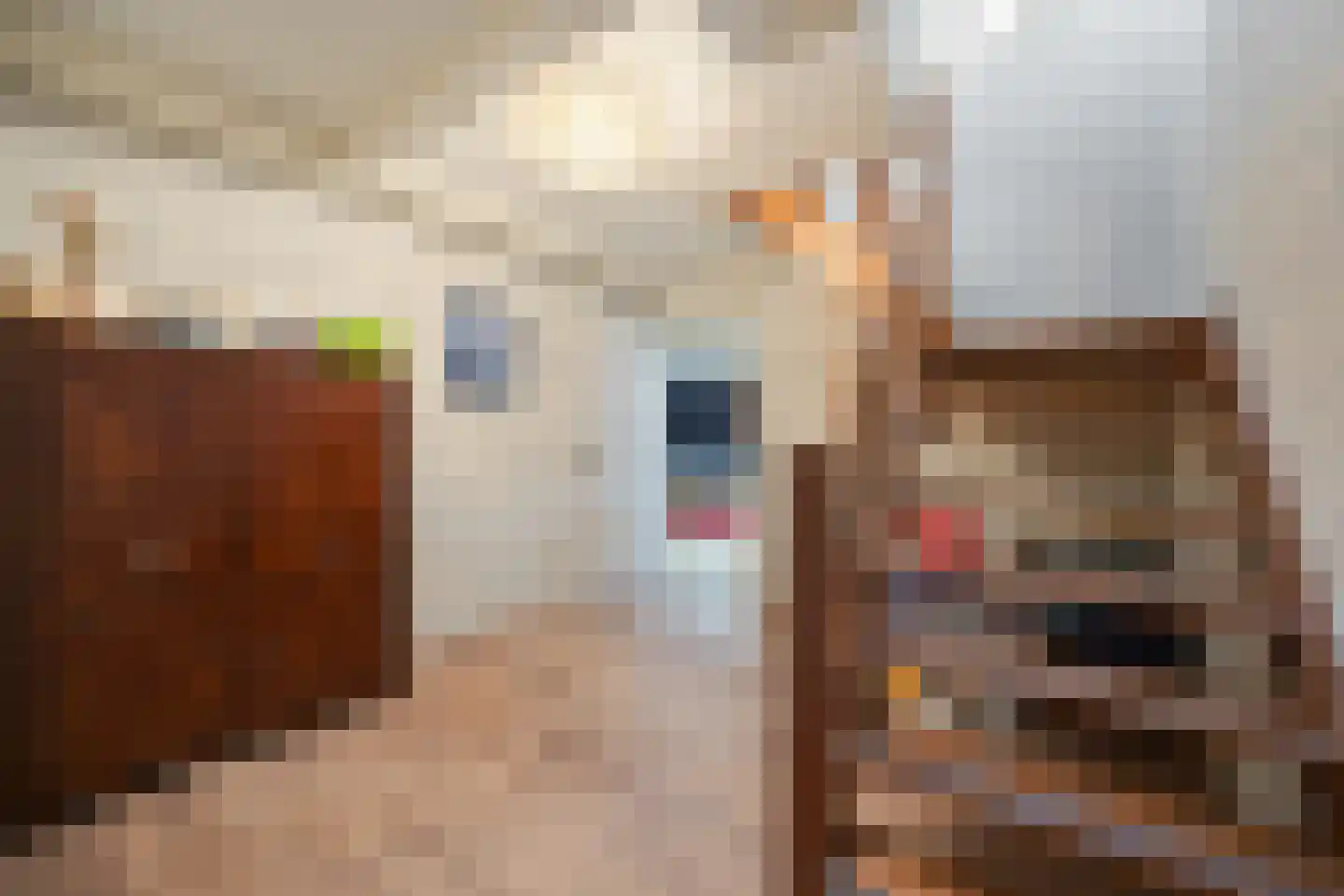 Binnenweg 5 a Ewijk thumbnail 69