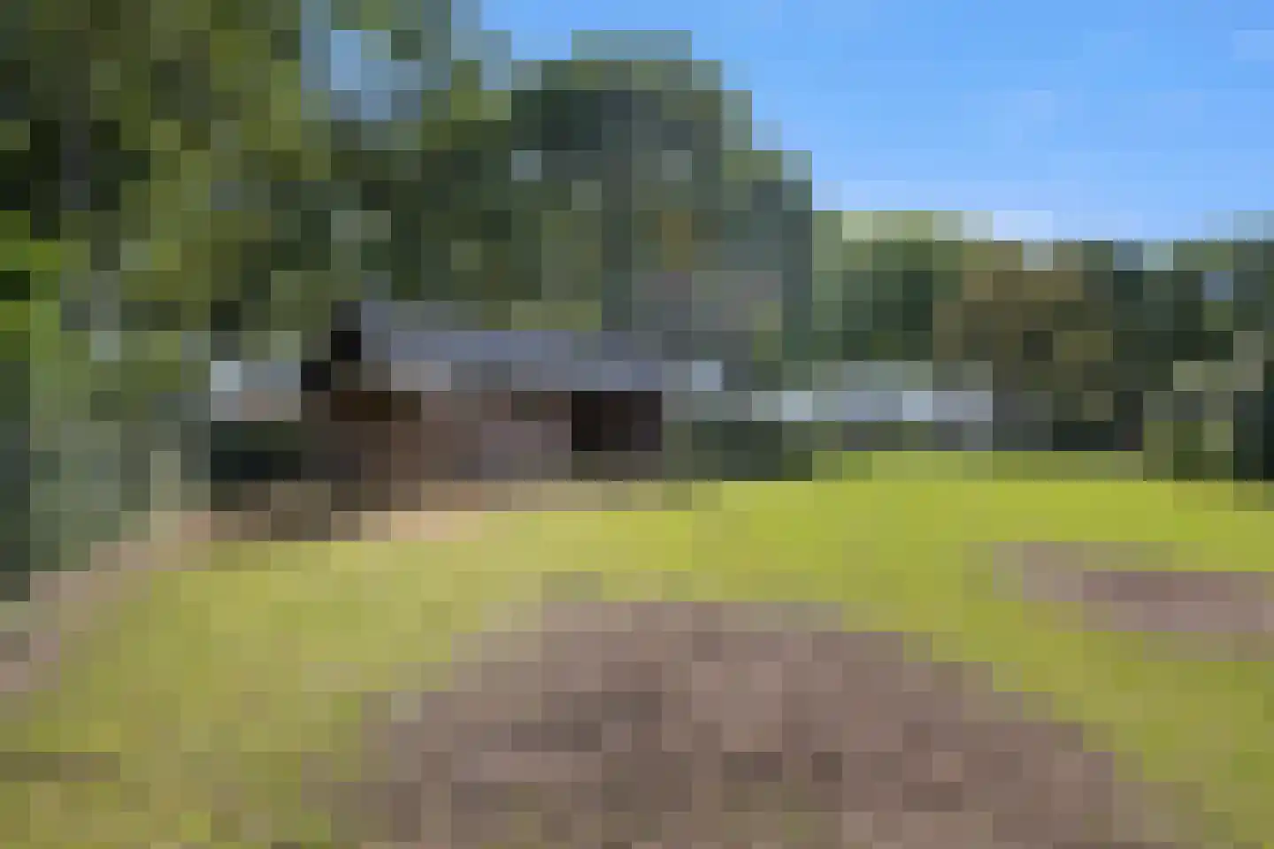 Binnenweg 5 a Ewijk thumbnail 93