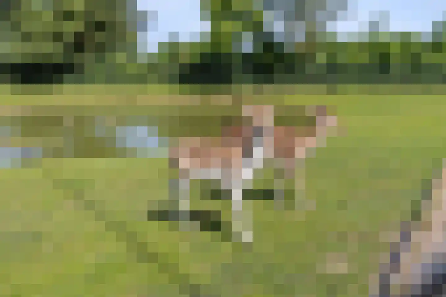 Binnenweg 5 a Ewijk thumbnail 94