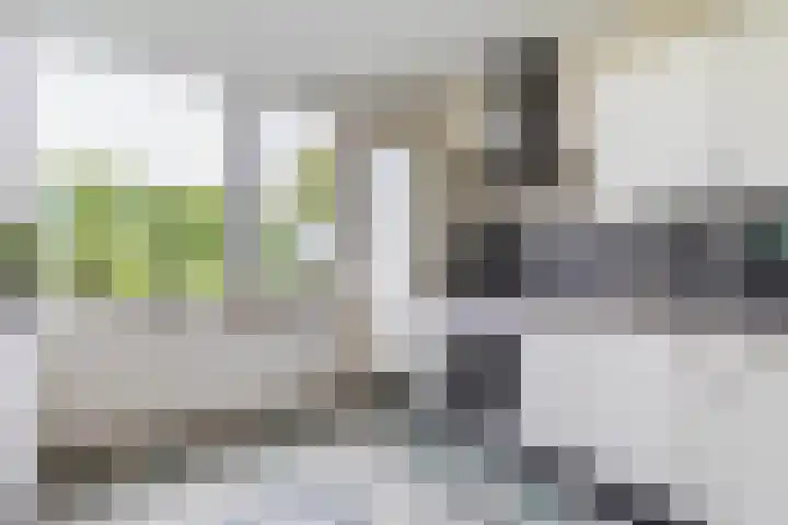 Binnenweg 5 Oostwold thumbnail 18