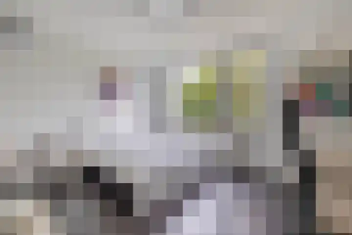 Binnenweg 5 Oostwold thumbnail 25