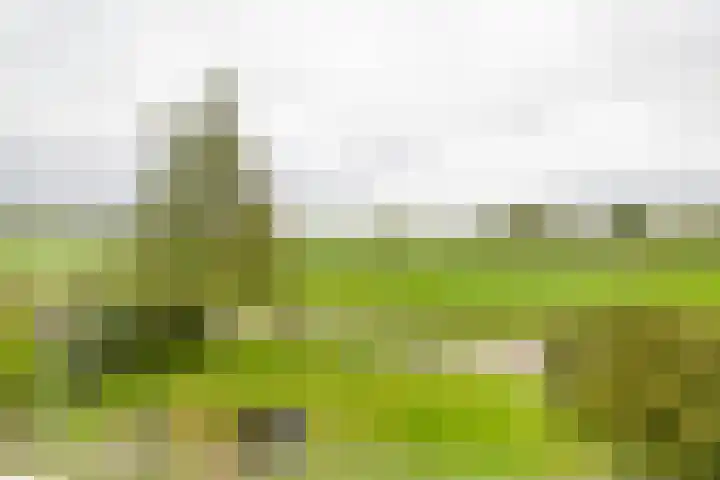 Binnenweg 5 Oostwold thumbnail 31