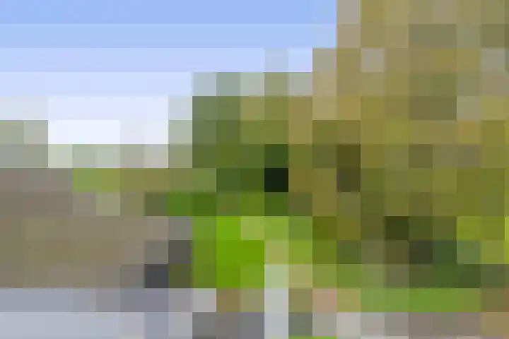 Binnenweg 5 Oostwold thumbnail 36