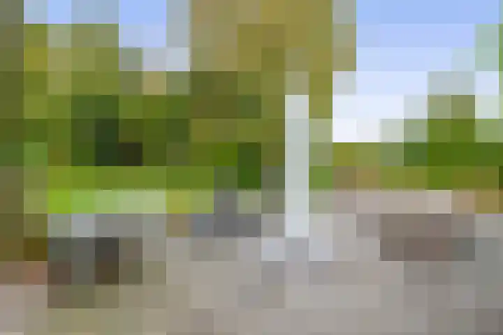 Binnenweg 5 Oostwold thumbnail 39
