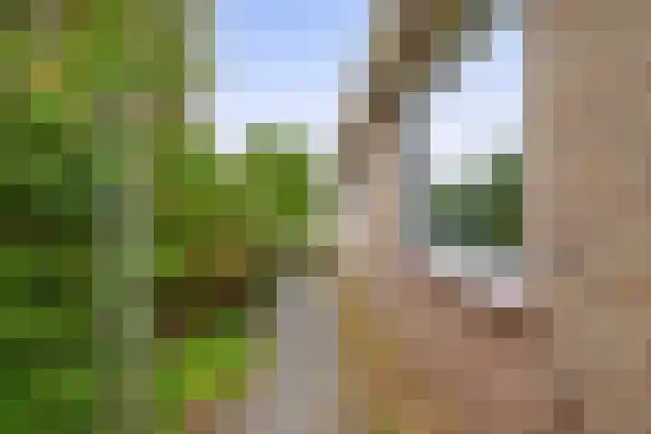 Binnenweg 5 Oostwold thumbnail 40