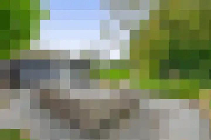 Binnenweg 5 Oostwold thumbnail 41