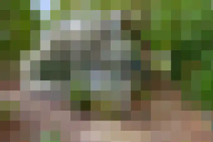 Binnenweg 5 Oostwold thumbnail 44
